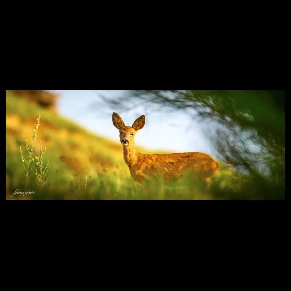 PHOTO84, CLUB, 84 , LUBERON